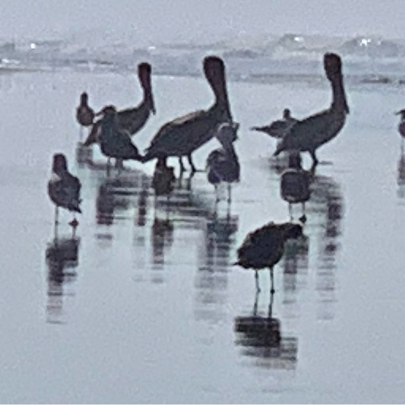 Halcyon Loftstyle presents: Halcyon Images - Picture 3 of 16